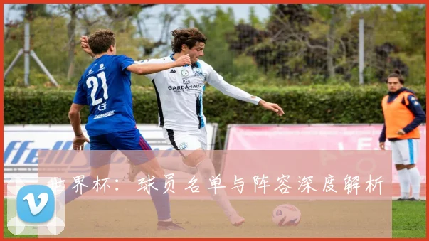 世界杯：球员名单与阵容深度解析