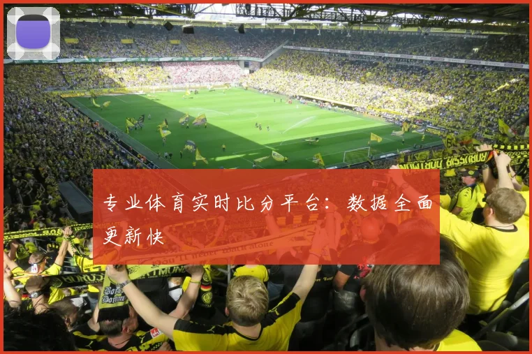 专业体育实时比分平台:数据全面更新快