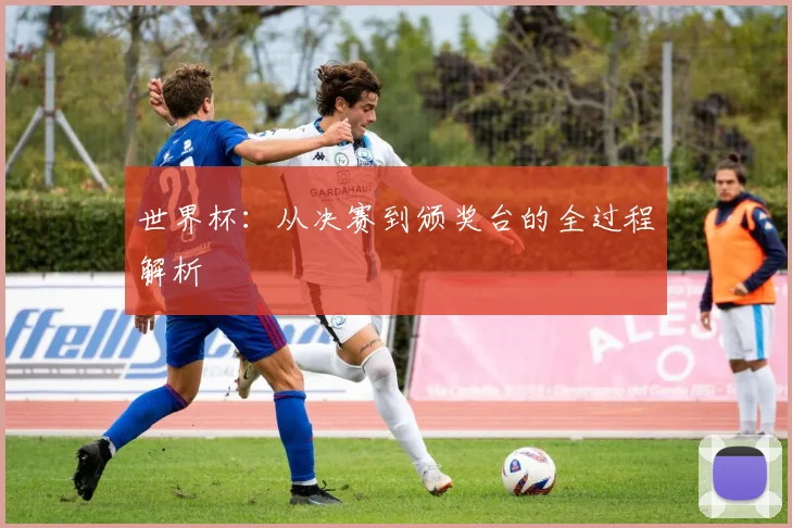 世界杯：从决赛到颁奖台的全过程解析