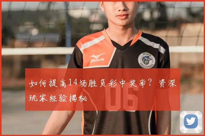 如何提高14场胜负彩中奖率？资深玩家经验揭秘